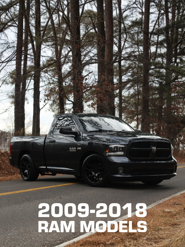 1988 (16)